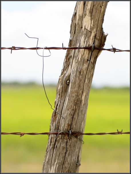 fencepost2b.jpg